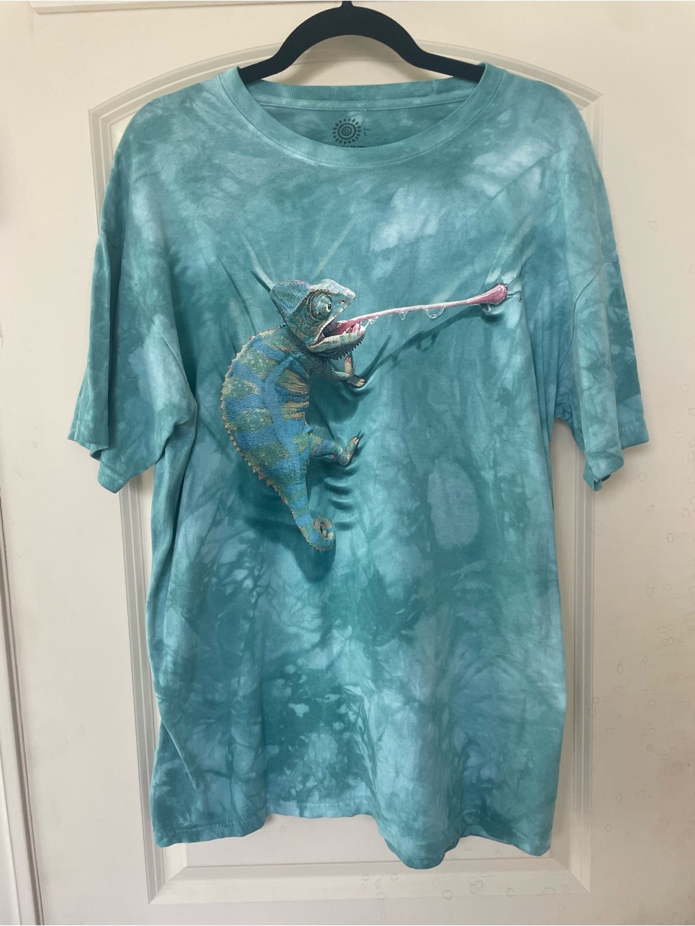 Turquoise Tie-Dye Chameleon Graphic Tee Men’s Large